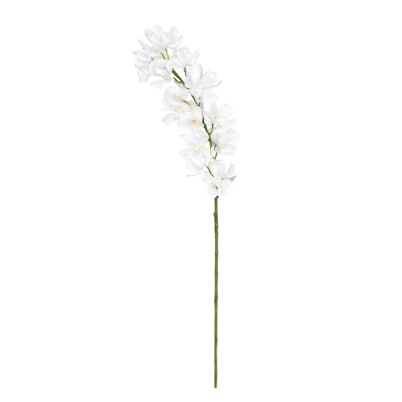 Tiges d'orchidées, Blanc