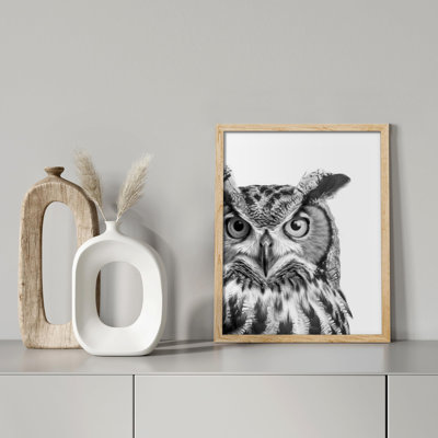 "Photographie de hibou noir et blanc" sur