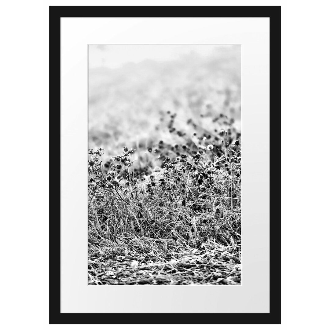 Gerahmtes Poster Wiese mit Lila Blumen