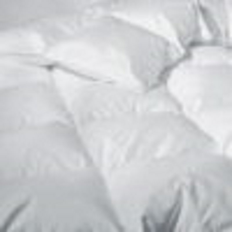 Goose All Season Down Comforter, Queen