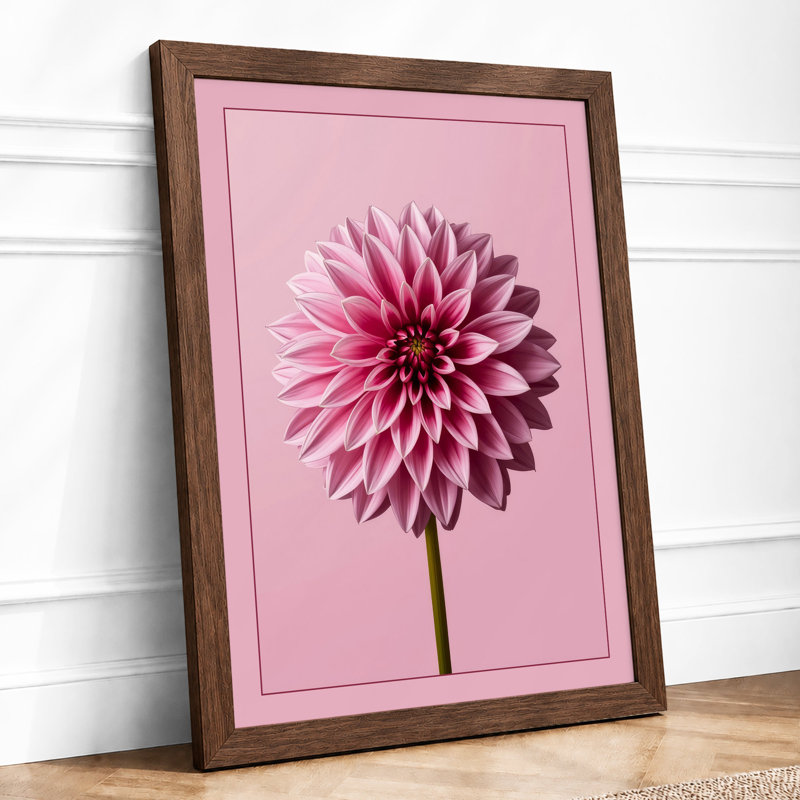 Dahlia In Bloom Botanical - Print, Walnut, A1 - 84.1 x 59.4 cm