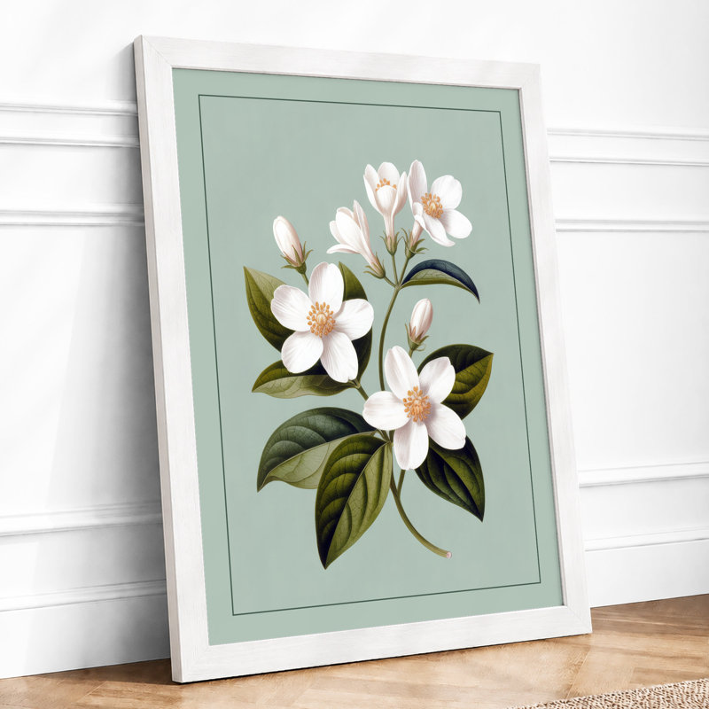 Flowering Stem Study Botanical - Framed Print, A4 - 29.7 x 21.0 cm, White