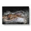 Alligator Watchful Eye In Abstract - Wrapped Canvas Print-55306390