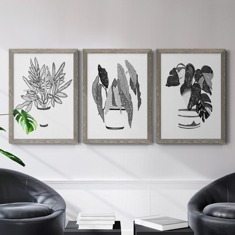 B&W d'intérieur plante IV - ensemble de 3 reproductions d'art sur toile, Gris, H 43,5 po x l 31,5 po x P 1 po