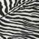 Reme Chenille Washable Animal Print Indoor / Outdoor Rug