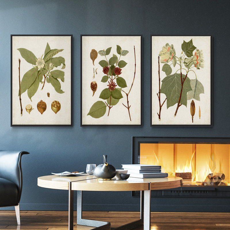 Gould Tropical Birds IV, ensemble de 3 toiles encadrées sur toile, Cadre noir, H 27 po x l 54 po