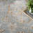 Castanon Oriental Gray Area Rug-262657091