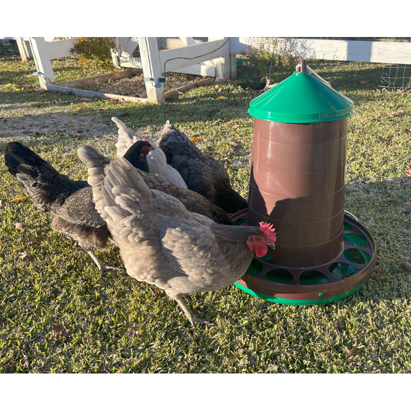 Mangeoire à poulet recyclée Eco 35 lb