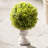 13.5 " H Faux Eucalyptus Topiary in Ceramic Urn