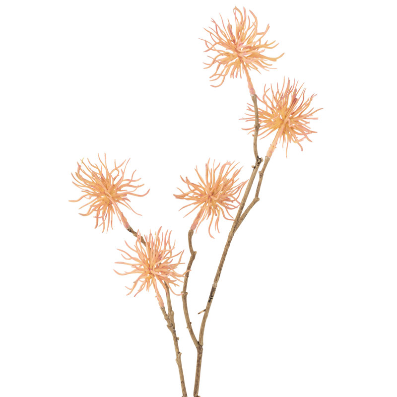 Unchin Arrangement