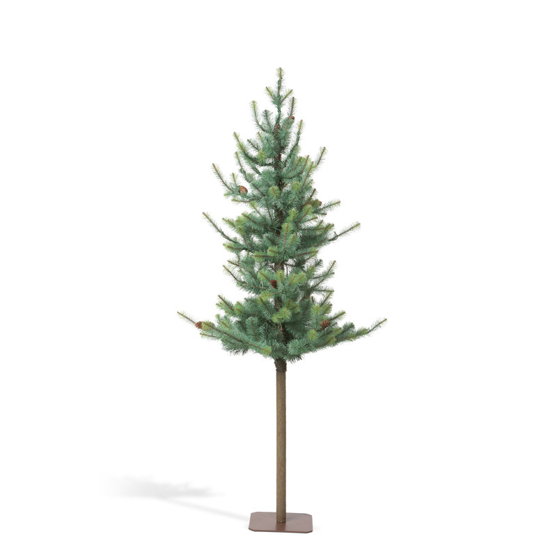 Arbre alpin bleu, 72 po, H 6 pi