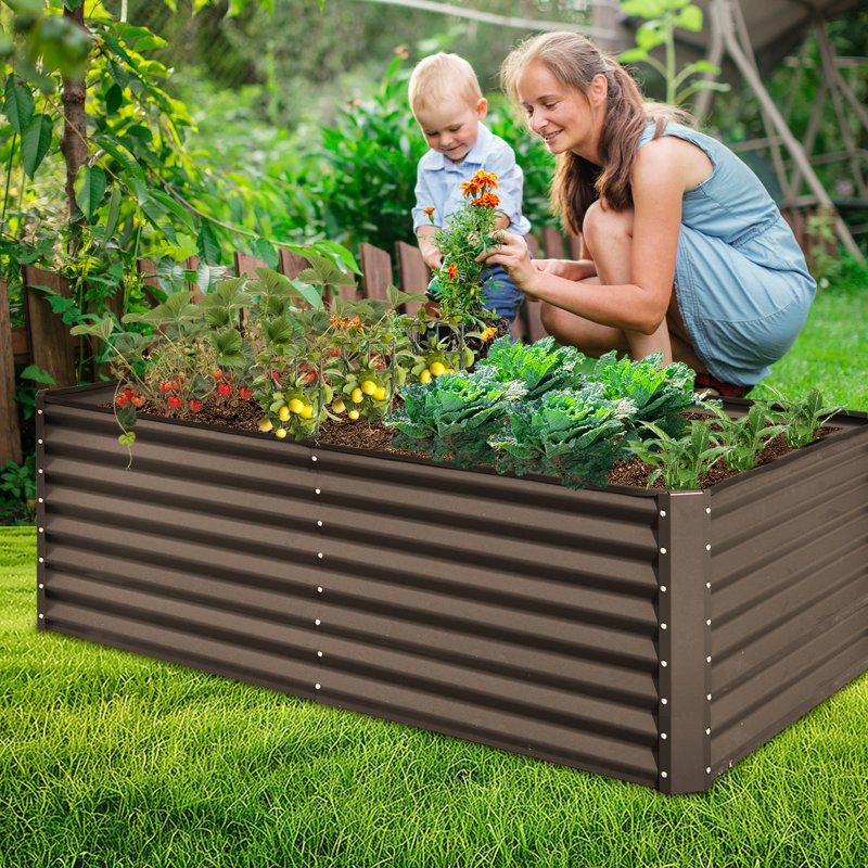 Lit de jardin surélevé en métal Sacia, H 23,62 po x l 70,87 po x P 35,43 po, Brun