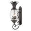 Plantation 3-Light Outdoor Wall Lantern