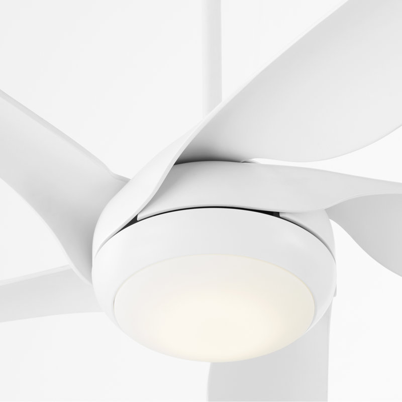 Ventilateur de plafond standard à 5 pales 65 "avec contrôle mural Chevallier, Blanc