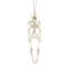 Lampkins Halloween Decorative Accent