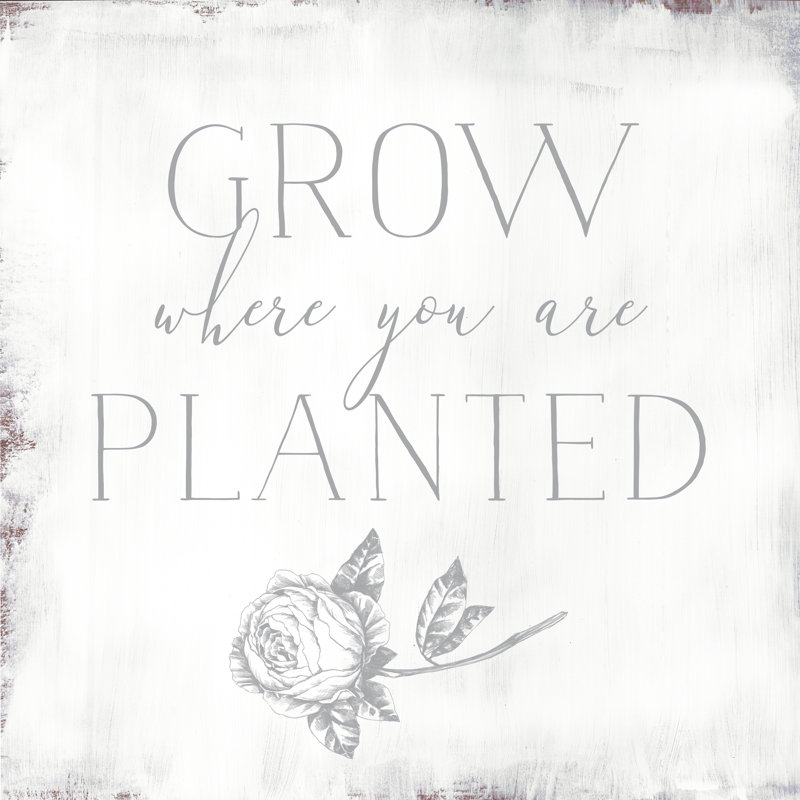 Grow Where You Plant Peony - Wrapped Canvas Print, 30cm H x 30cm W x 3.8cm D