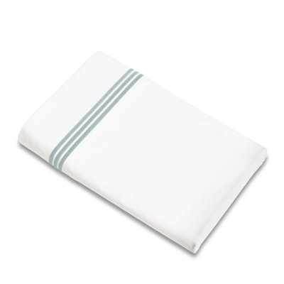 Platinum Flat Sheet