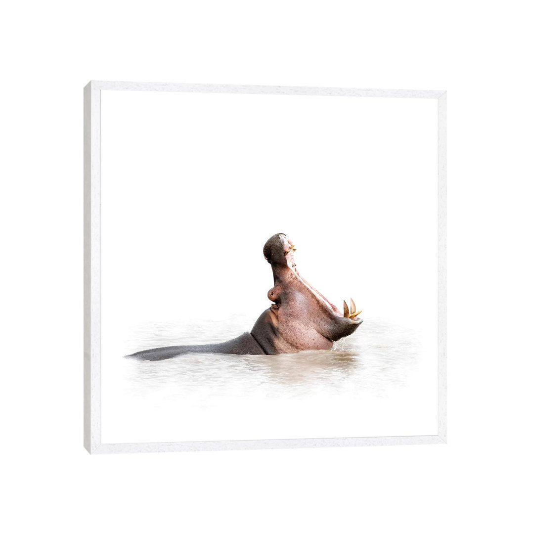 Hippo Mouth Wide Open Isolated On White von Susan Richey - Gallery- Giclée on Canvas