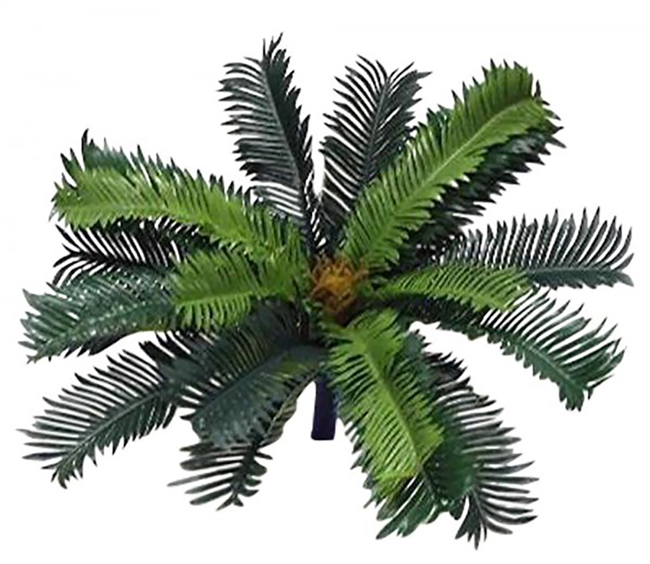 Primrue Sago Palm Arrangement | Wayfair