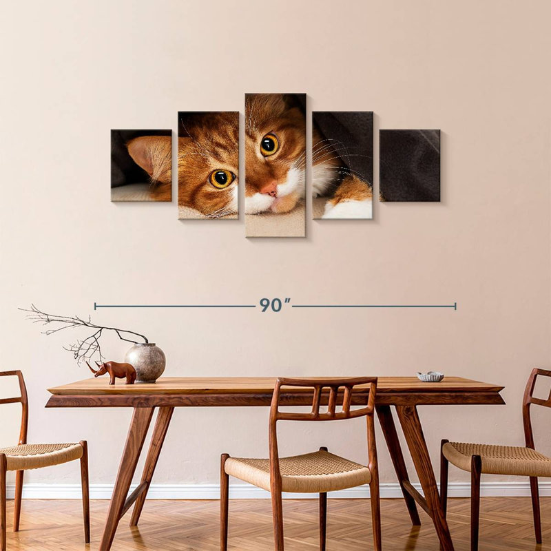 Chat douillet, H 36 po x l 80 po