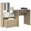 Computer Desk-1173171972