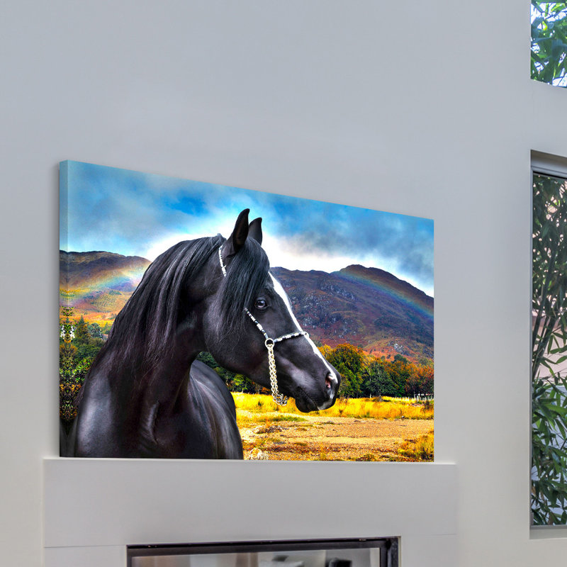 Rainbow by Maggie Dee - Wrapped Canvas Print, 101cm H x 152cm W