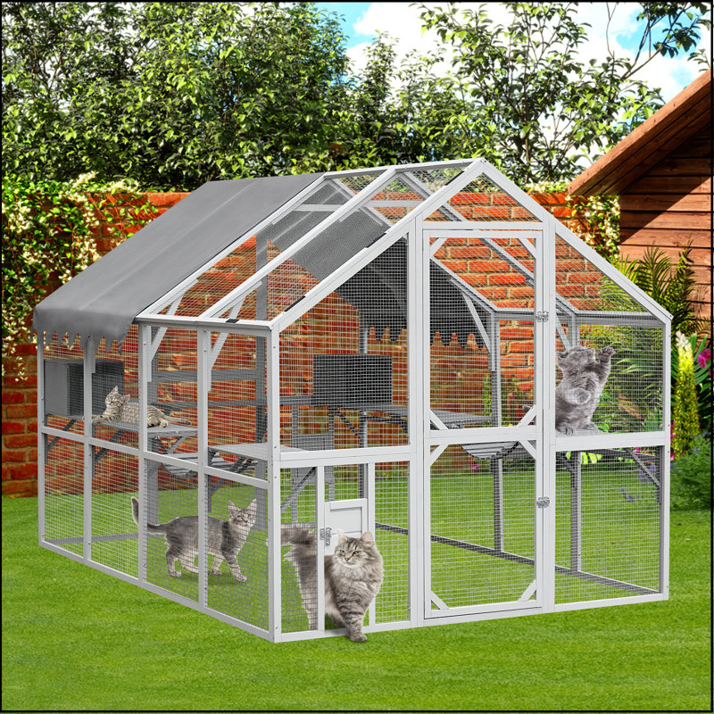 Cat Playpen