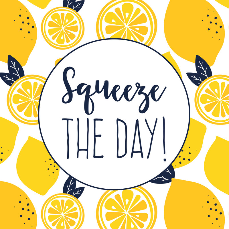 Squeeze The Day - Wrapped Canvas Print, 51cm H x 51cm W x 3.8cm D