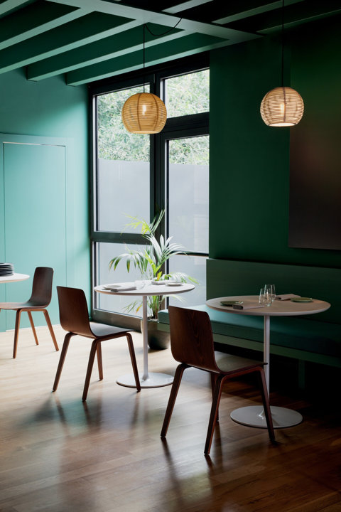The Aava Collection