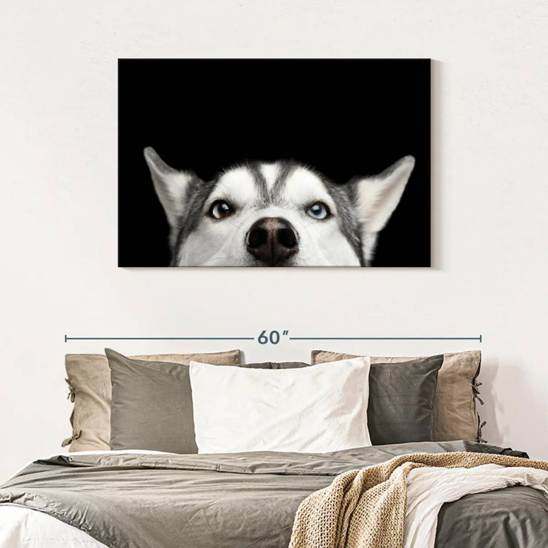 Peeking Siberian Husky, 30" H x 45" W