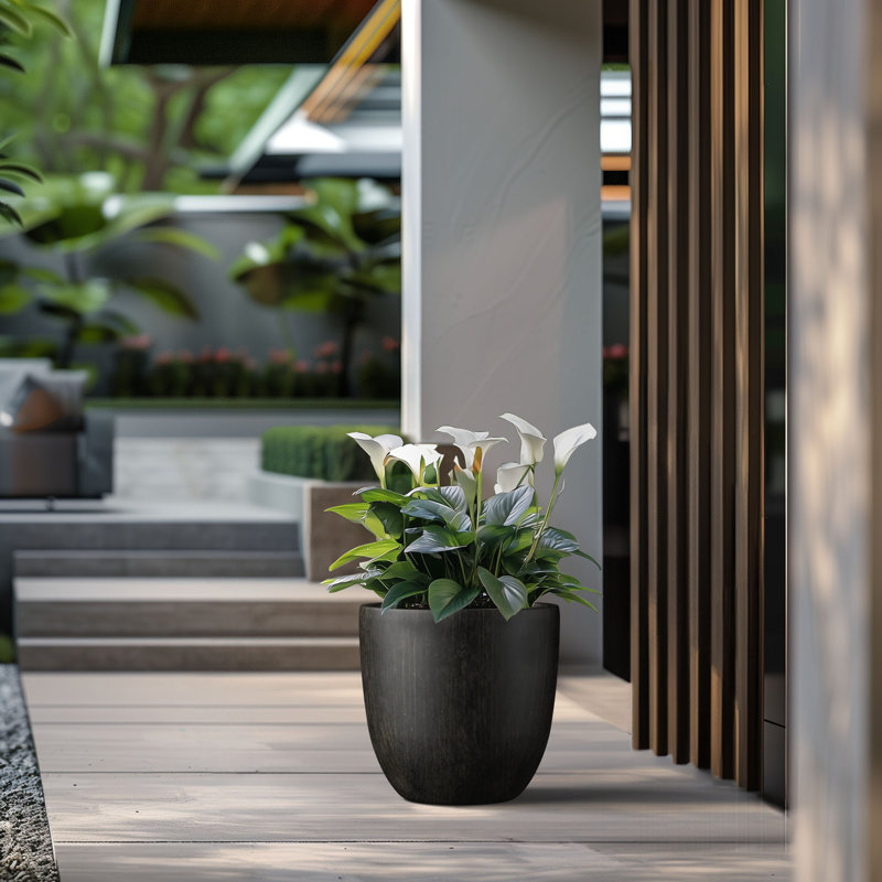 Larney Handmade Pot Planter, 16.93" H x 17.72" W x 17.72" D, Bronzed Black