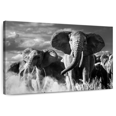 Brampt Elephant Sunset March