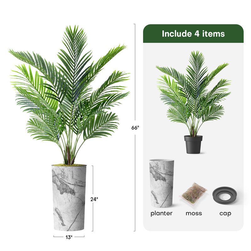 buy stinging nettle plants Stinging Nettle Plant main image 1
