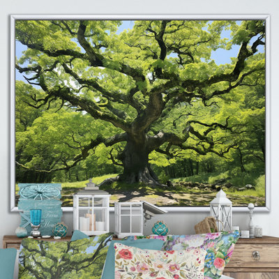 Majestic Sycamore Tree Photo - Tree Sycamore Wall Art