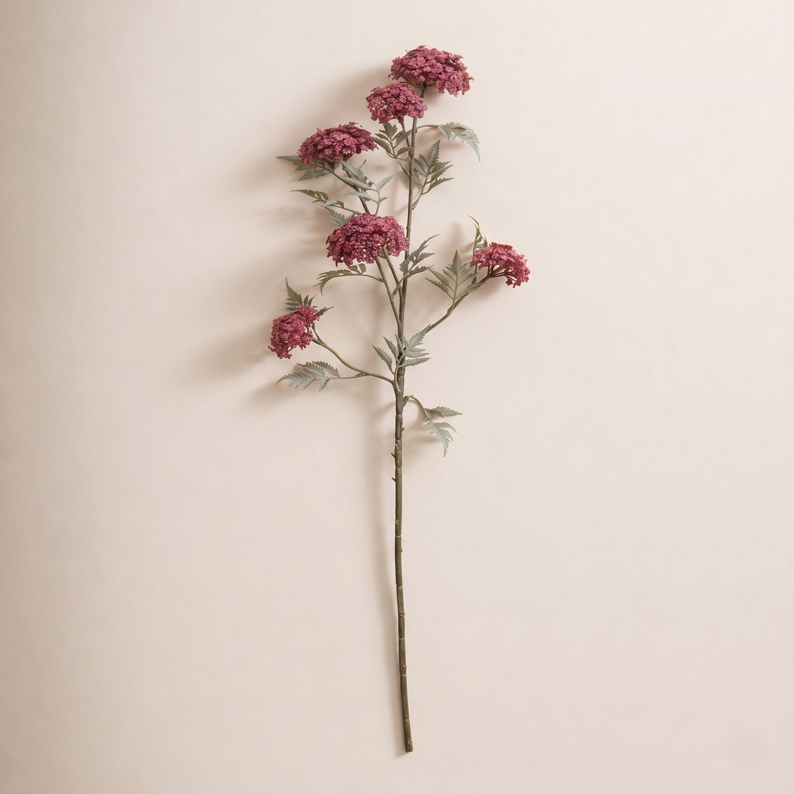 Snowball Floral Stems