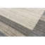 Area Rug in Beige/Gray