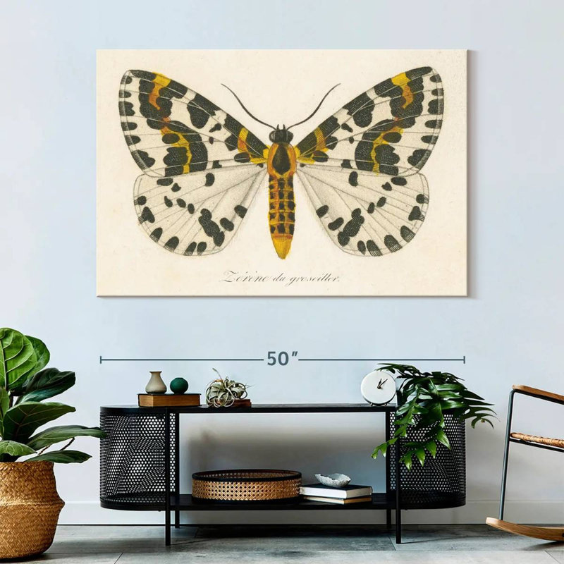 Brampt Natures Butterfly IV, 34" H x 51" W