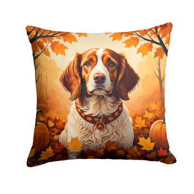 Coussin décoratif Brittany