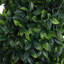 120cm Faux Plant in Pot