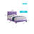 Transitional Purple Full Bed With Support