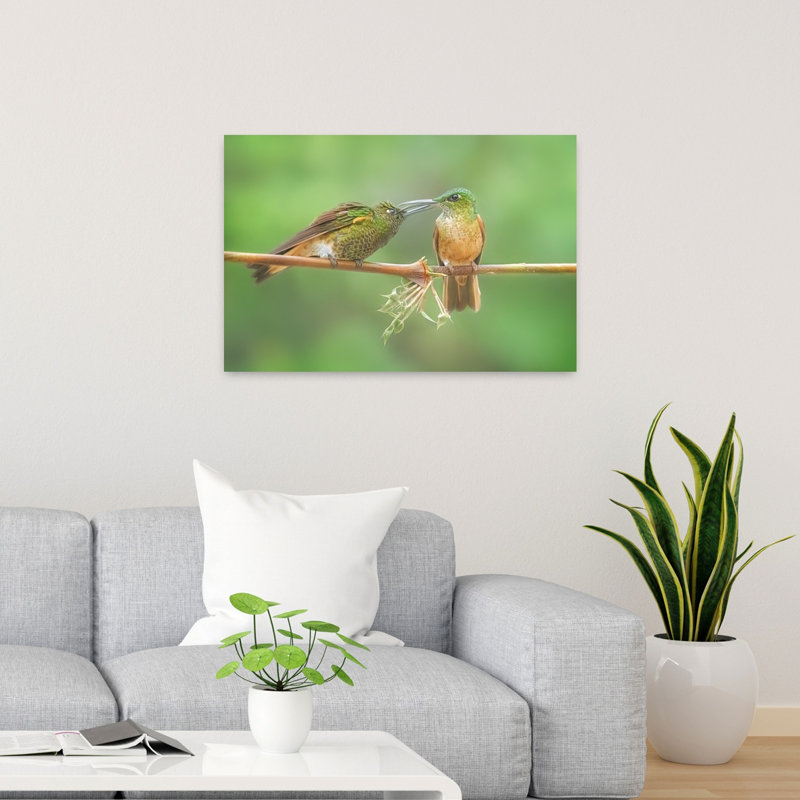Nurturing Hummingbirds Abstract Hummingbird Bird Forest Landscape Wall Art Print, 91.44cm H x 60.96cm W