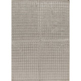 Area Rug in Gray