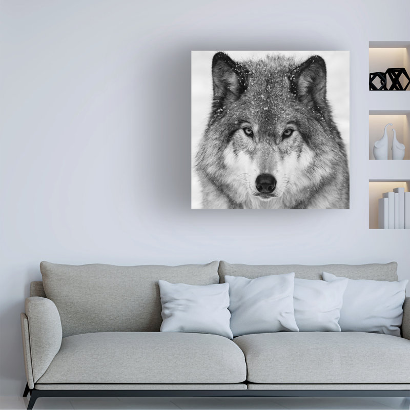 Art sur toile Mircea Costina Wolf, H 35 po x l 35 po x P 2 po