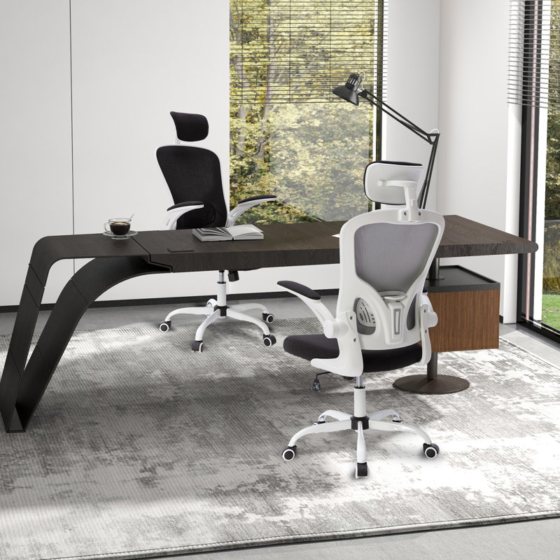 Ludovica 52 cm Wide High Back Mesh Ergonomic Office Chair With Adjustable Headrest, Armrest, Lumbar, Black