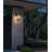 Musson Outdoor Wall Sconce in Black-1908866395