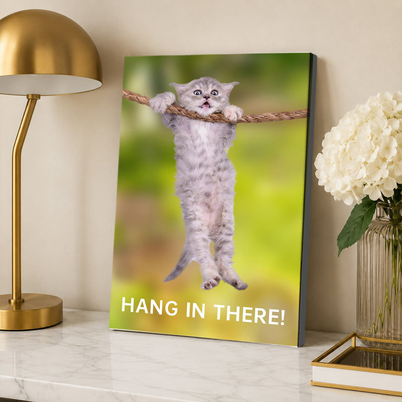 affiche murale chat suspendu, 16x24inch