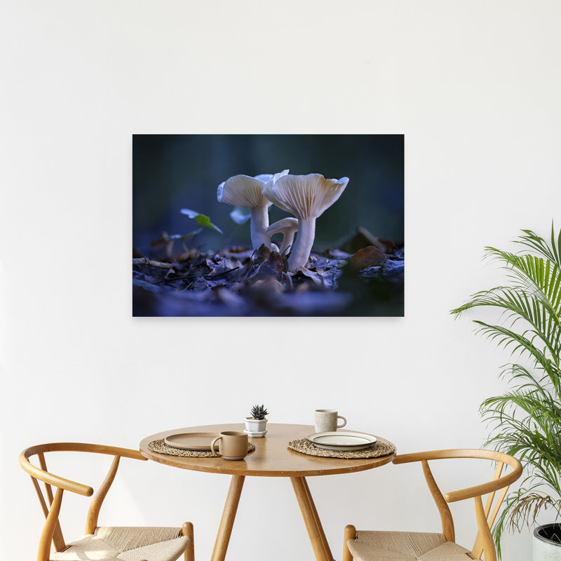 Champignons de la forêt tranquille - Affiche murale délicate, biologique et paisible représentant une forêt d'automne