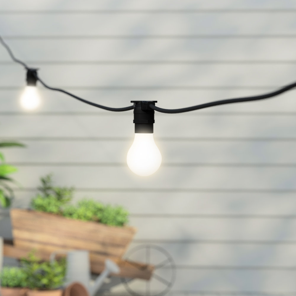 Barbarino Festoon Lights String Light
