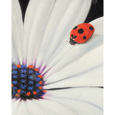 White Daisy and Ladybug - Botanical Black Canvas Art | Home Decor