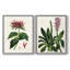 AntiqueFloralFolioI - reproduction encadrée de qualité supérieure - prête à être accrochée - aucun clou requis - aucun clou requis-160436301-160436299